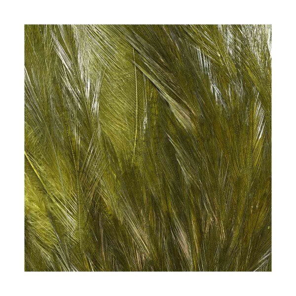 LARGE WET FLY STREAMER NECKS, Fly Tying Jann's Netcraft